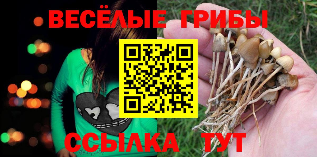 Галлюциногенные грибы GOLDEN TEACHER  Вход с VPN  Фролово  Псилоцибиновые грибы Psilocybe 